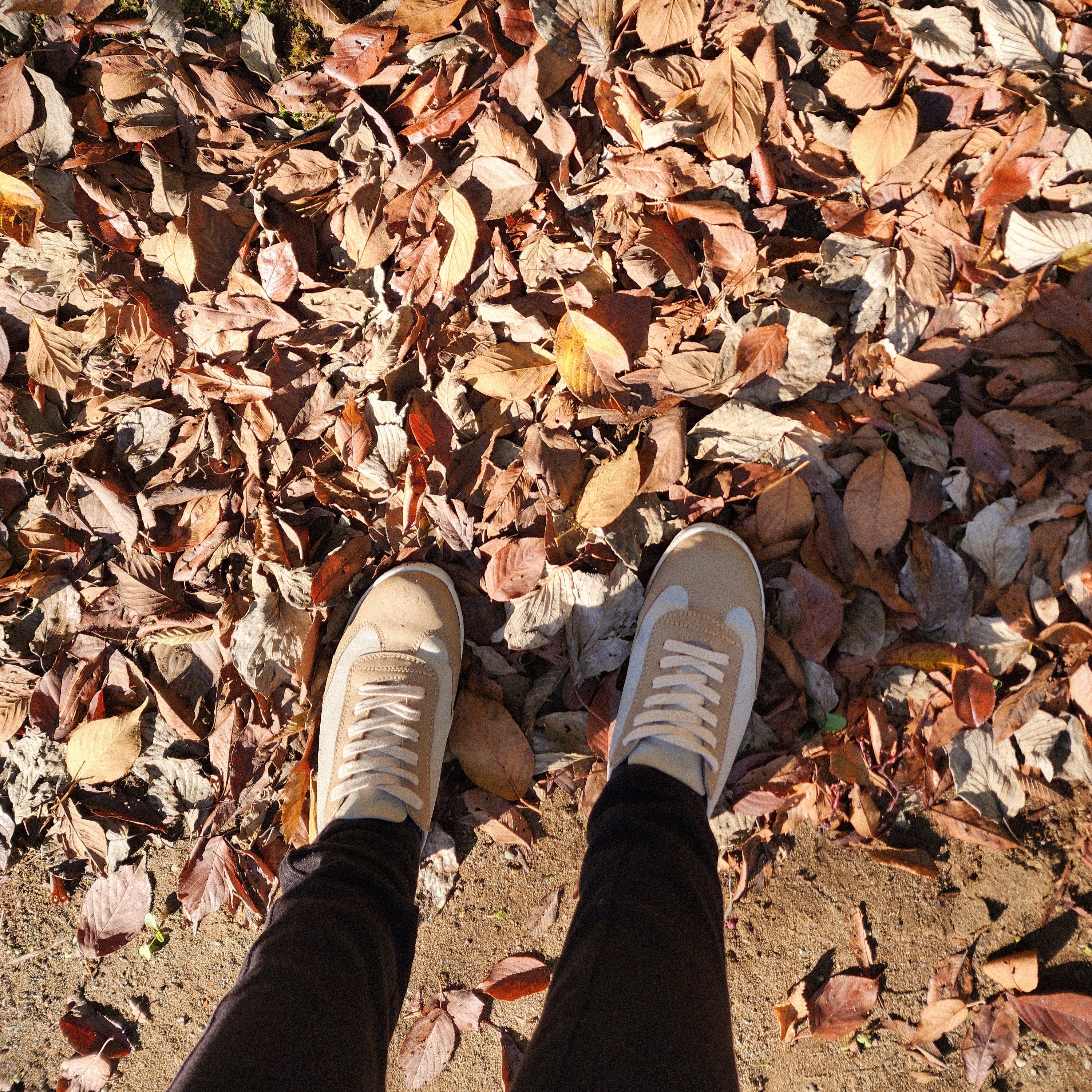 Ashton in Fog & Beige Combo
